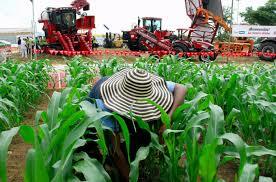 Ley de tierras y desarrollo agrario 2005.