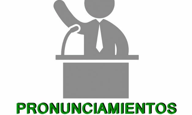 Pronunciamiento sobre Revisoría Fiscal