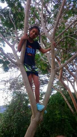 ÁRBOL DE LOS JUEGOS