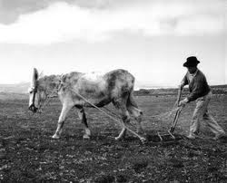 la agricultura cae en una crisis