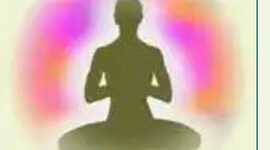 Timeline: Terapias naturales