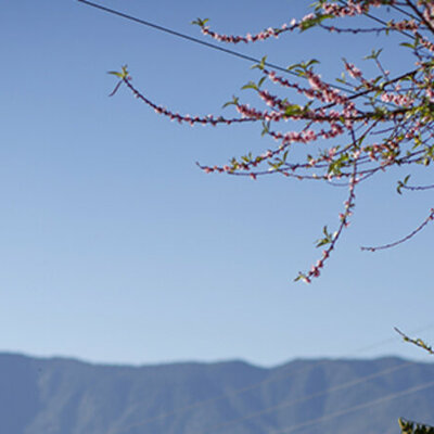 Timeline: Cronología política del recurso aire en Colombia