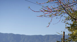 Timeline: Cronología política del recurso aire en Colombia