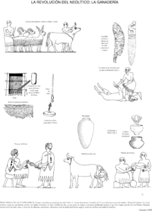 Trenzados de fibras y telar