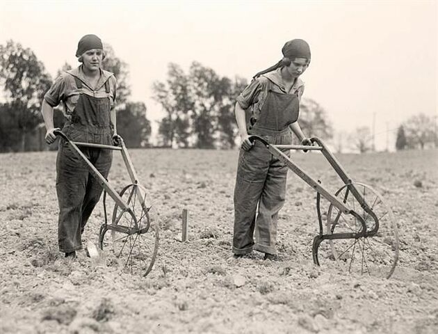 farming on the homefront
