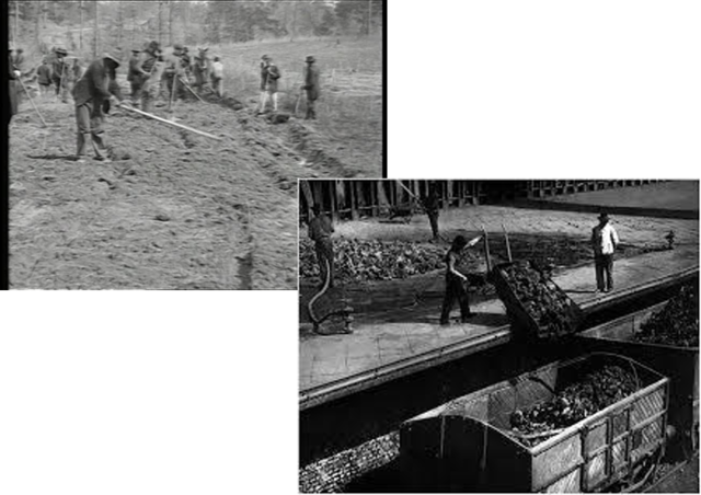 La Revolución Mexicana y la influencia del capitalismo. 1910 - 1920