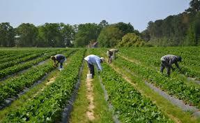 Programa de Bienestar Social Rural