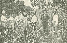 Expansión del capitalismo