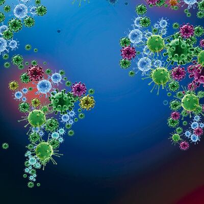 Timeline: Historia  de  la Epidemiología