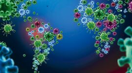 Timeline: Historia  de  la Epidemiología