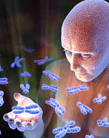 «Геном человека»