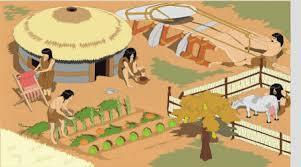 Comença la agricultura i la ramaderia