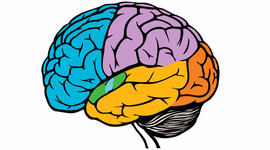 Timeline: Las neurociencias de la conducta, un viaje que no se detiene...