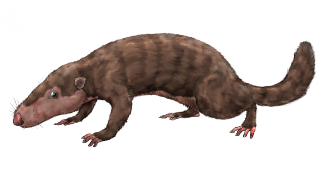 Jordas første pattedyr