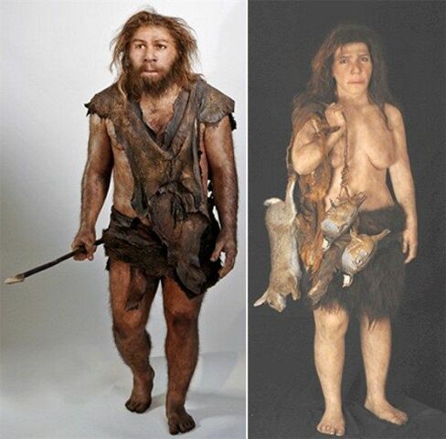 QUINS HOMOSAPIENS HI HAVIEN EN EL NEOLITIC