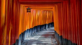 Timeline: 2.Praktika