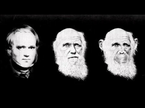 Muerte de Darwin.