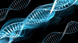 Timeline: Основные вехи в истории генетики