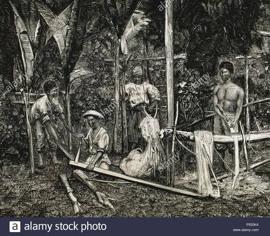 CONOCIMIENTO DE PLANTAS CURATIVAS.