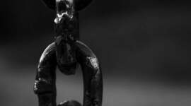 Timeline: Historia de la esclavitud