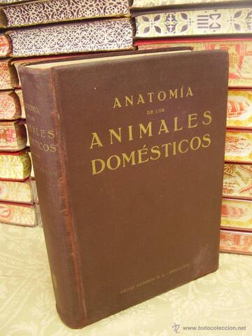 Septimus Sisson, Anatomía de los animales domésticos.