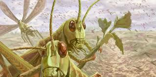 PLAGA 8 : LANGOSTAS Y SALTAMONTES