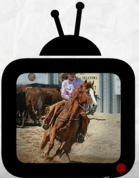 Tutorías por correo postal