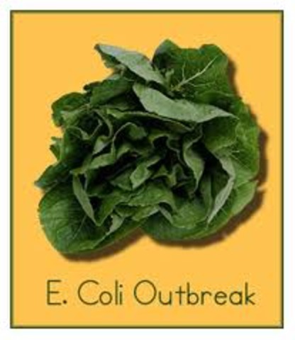E. Coli Breakout