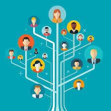 Day 4: Organizational Info