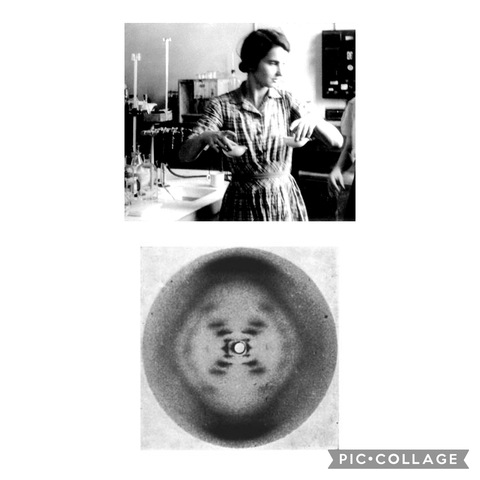 Rosalind Franklin