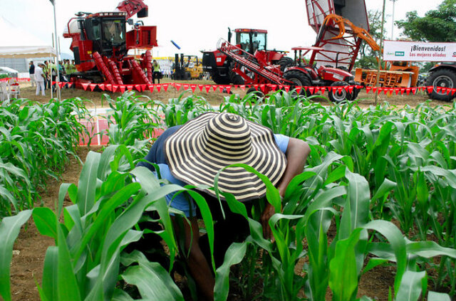Reforma de  la Ley de tierras y desarrollo agrario