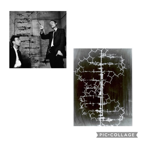 James Watson & Francis Crick