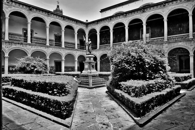 Universidad Michoacana