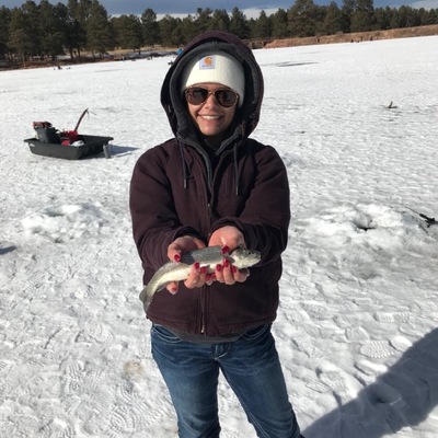 Timeline: Alina's Life Path