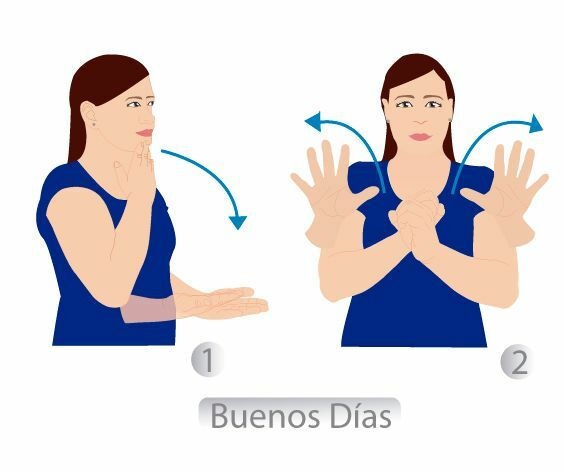 Universidad del Valle