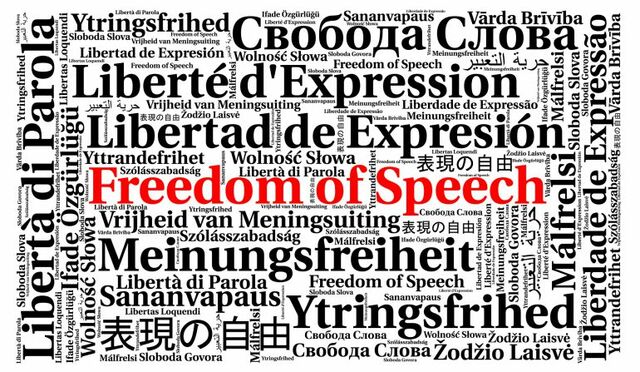 Se reconoce la libertad de expresión