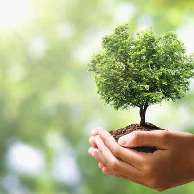 Timeline: Evolución del concepto de Desarrollo Sustentable