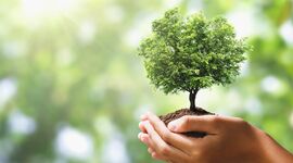 Timeline: Evolución del concepto de Desarrollo Sustentable