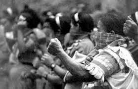 Asamblea Popular de los Pueblos de Oaxaca (APPO)