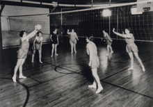 el voleibol llega a España