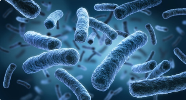 ley de 1979 nace el termino salud ocupacional