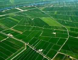 Modelo francés de OT