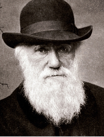 Historia de Campos de Acciòn