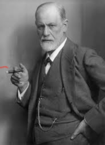 Historia de Campos de Acciòn