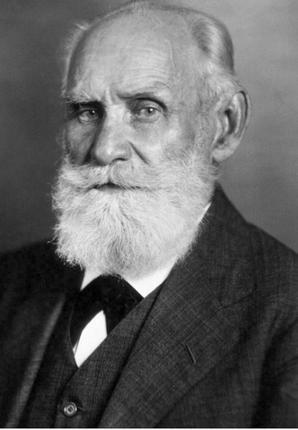 Historia de Campos de Acciòn