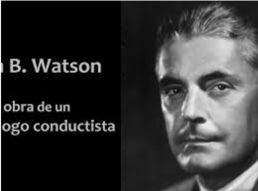 Historia de Campos de Acciòn