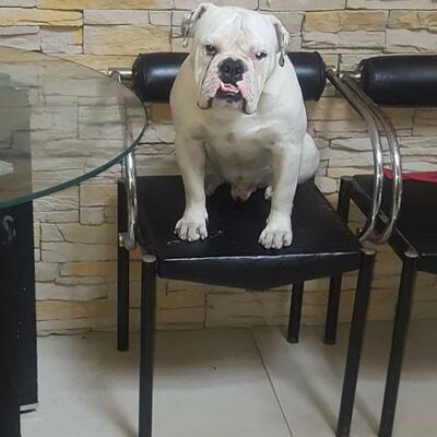 Timeline: HISTORIA DE AMOR