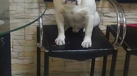 Timeline: HISTORIA DE AMOR