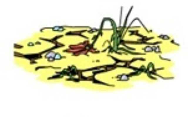 Gran sequera al Pròxim Orient