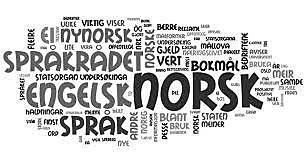 Norsk språk idag